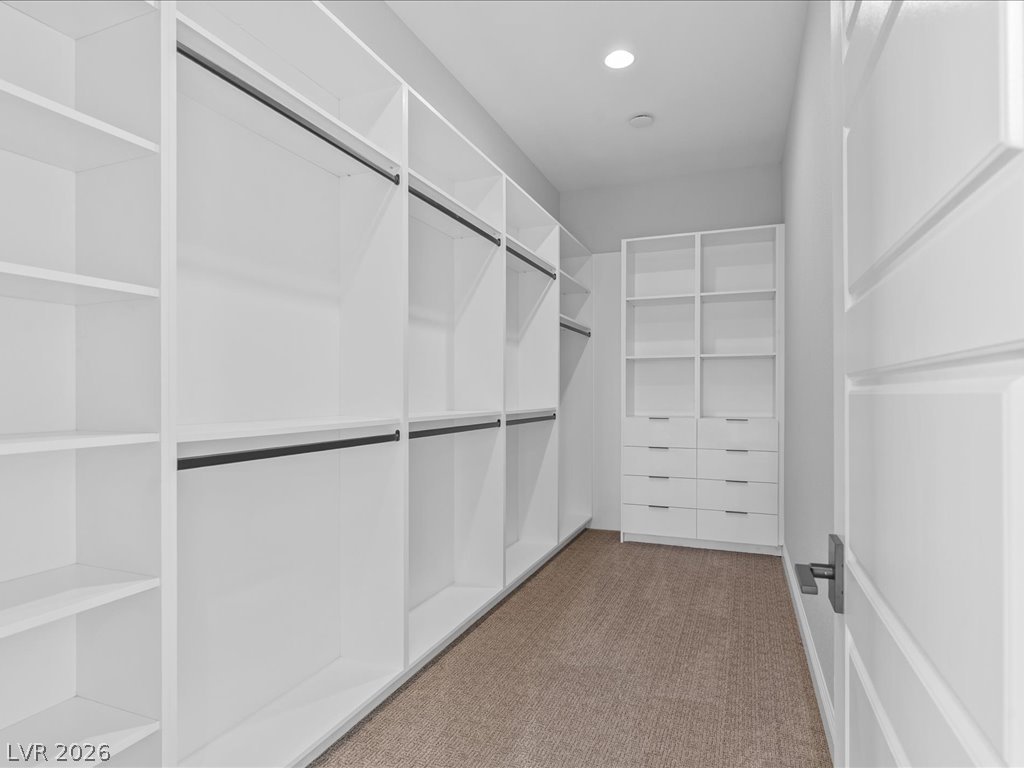 980 Natural Harmony Street Property Photo 45