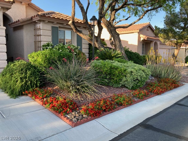 8316 Dawn Breeze Avenue Property Photo 7