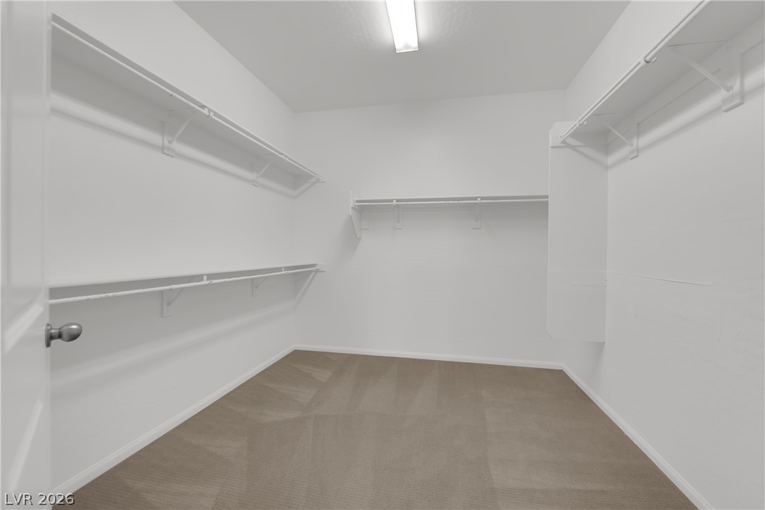 9947 Fletcher Peak Avenue Property Photo 23