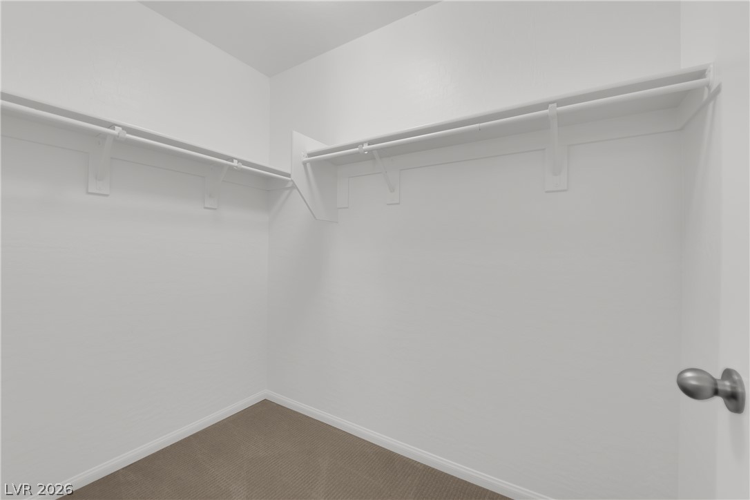9947 Fletcher Peak Avenue Property Photo 29