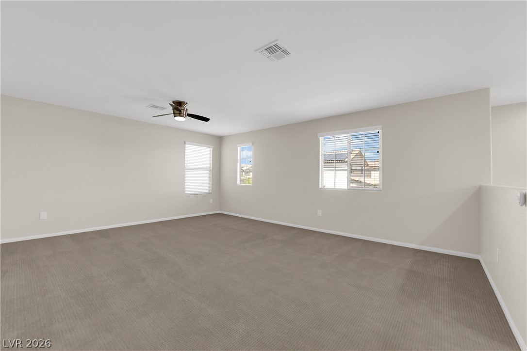 9947 Fletcher Peak Avenue Property Photo 39