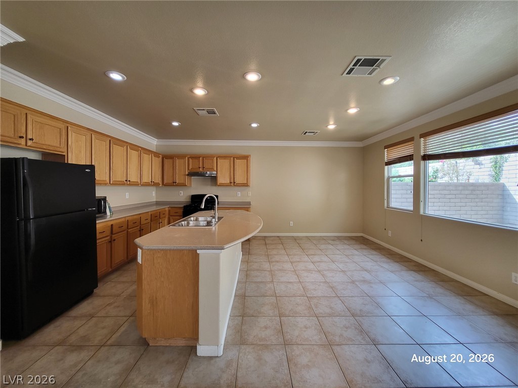517 Bachelor Button Street Property Photo 5