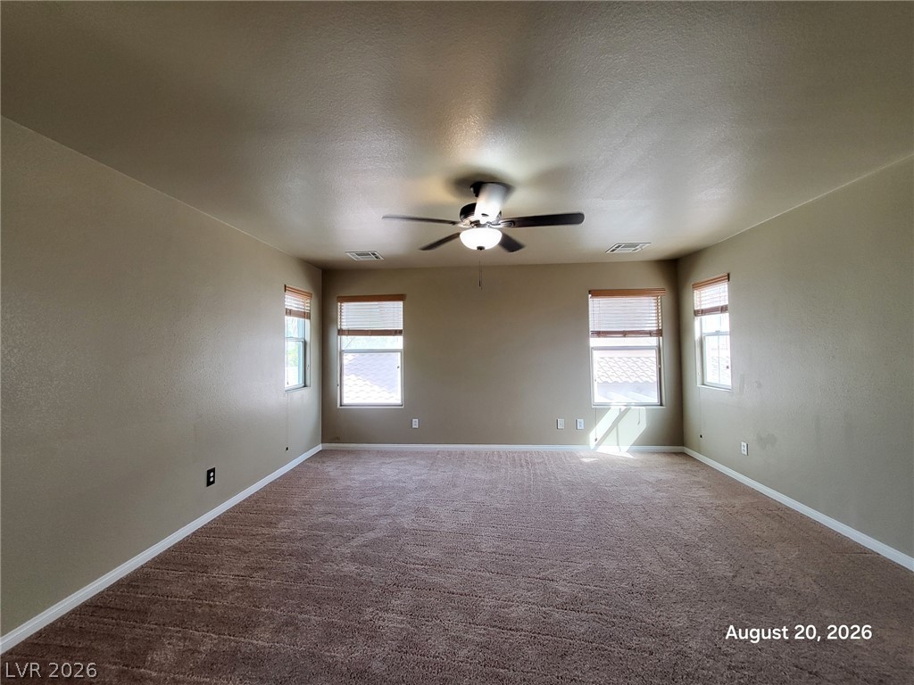 517 Bachelor Button Street Property Photo 15
