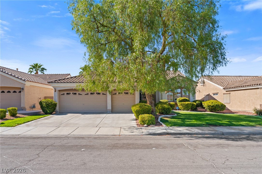2141 Arpeggio Avenue Property Photo 3