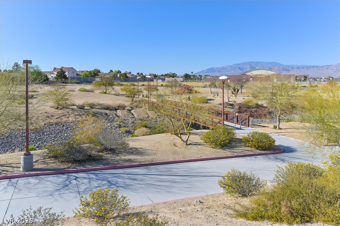 7021 Feather Pine Street Property Photo 29
