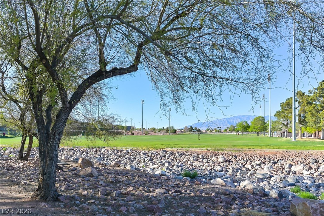 7021 Feather Pine Street Property Photo 40
