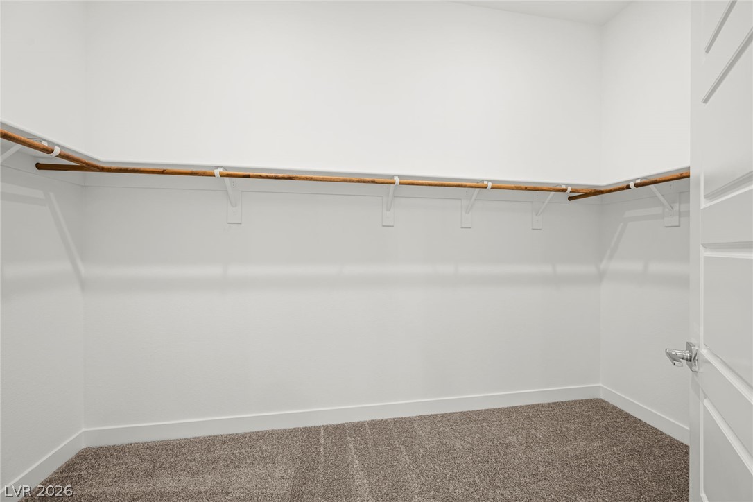 10405 Diana Summit Street Property Photo 20