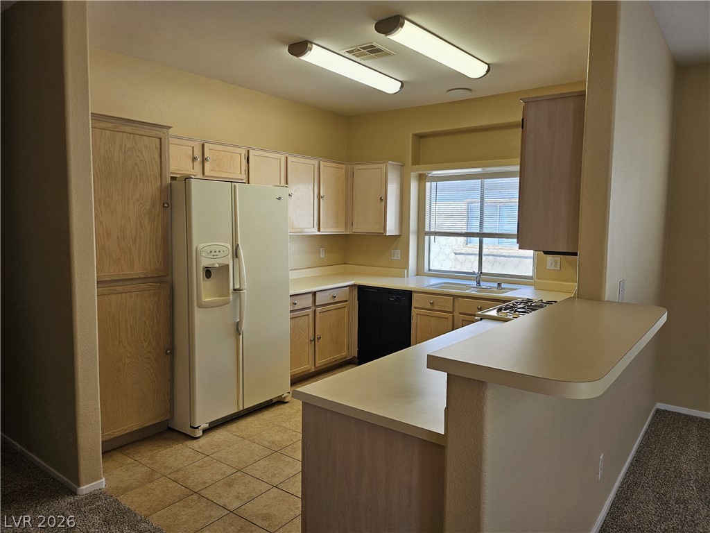 6900 Indian Chief Drive 203 Property Photo 6