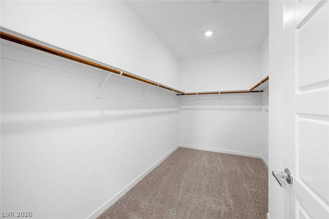 9575 Agave Grove Court Property Photo 26
