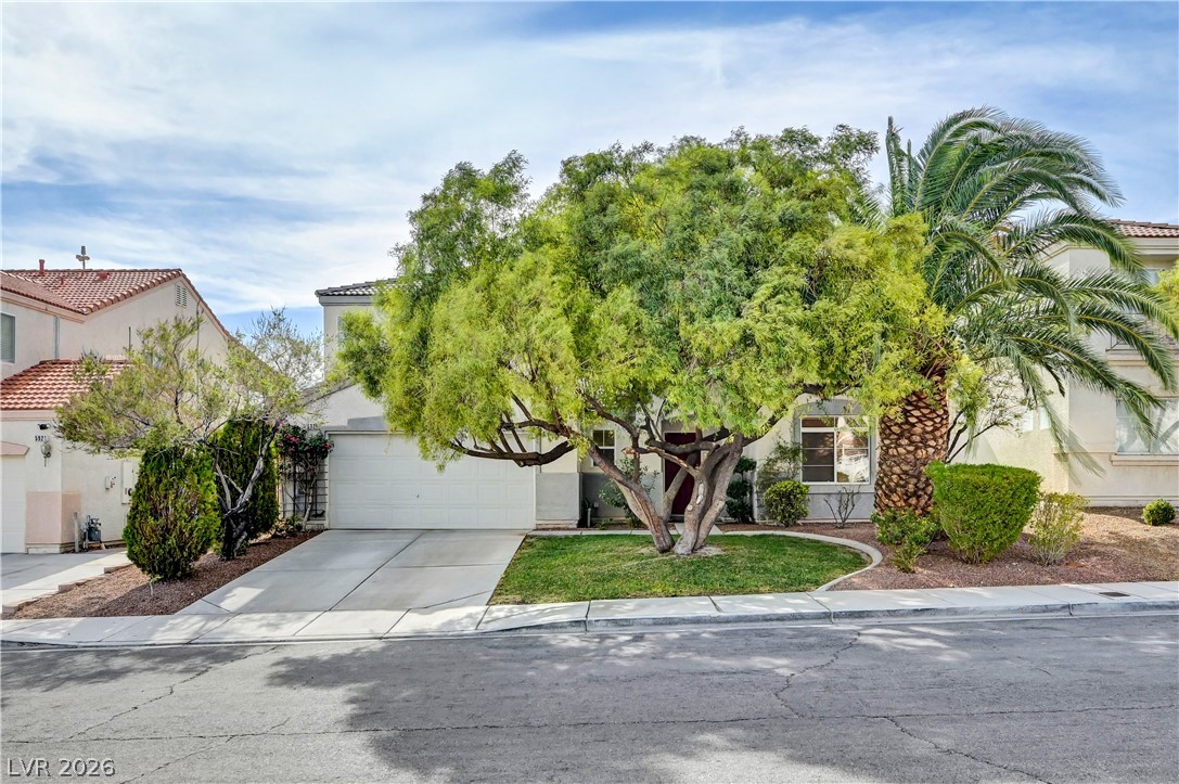 5925 Willis Street Property Photo 1