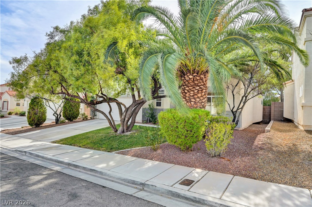 5925 Willis Street Property Photo 3