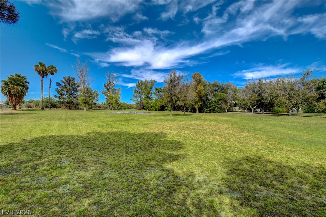 660 Scott Avenue Property Photo 6