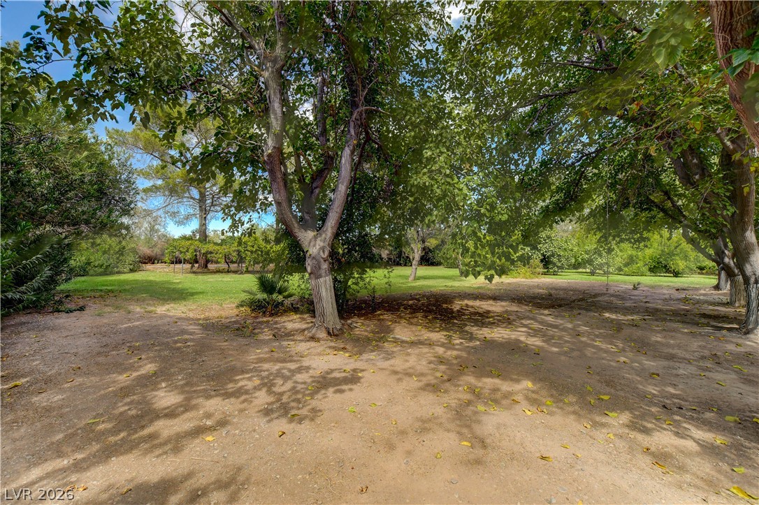 660 Scott Avenue Property Photo 9