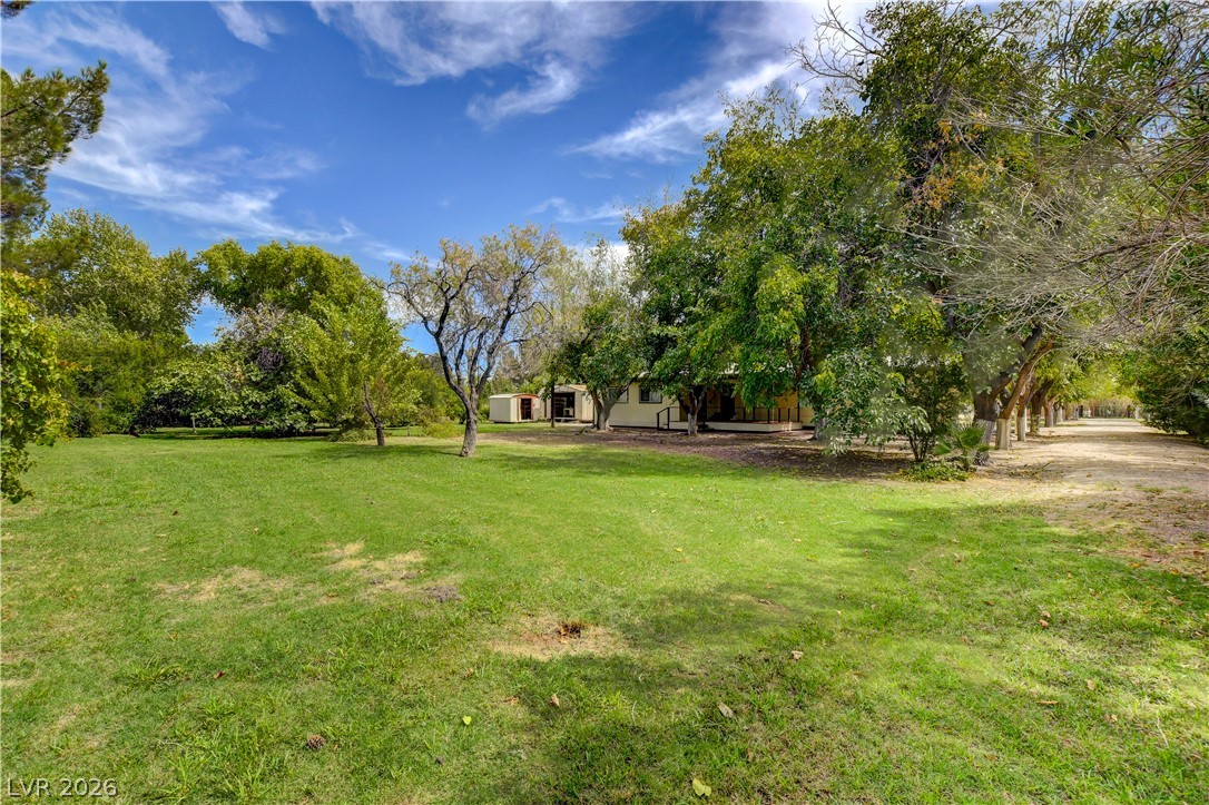 660 Scott Avenue Property Photo 14