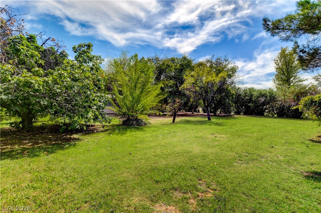 660 Scott Avenue Property Photo 15