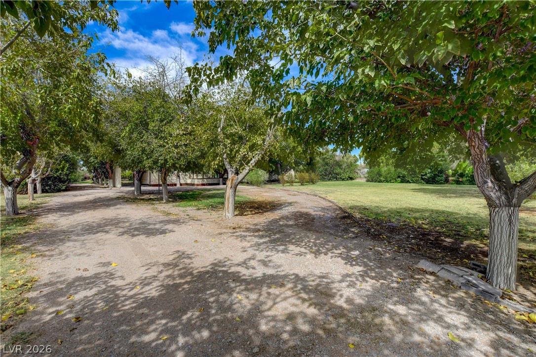 660 Scott Avenue Property Photo 16