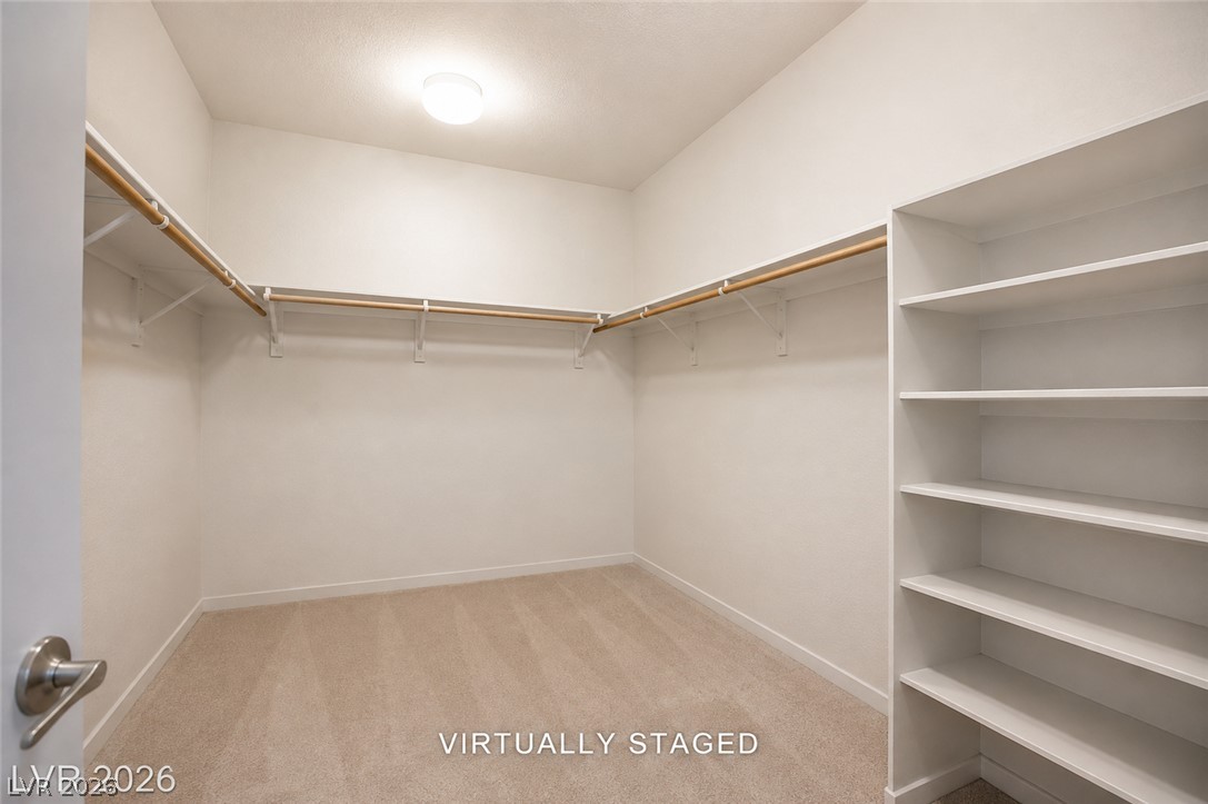 10184 Ocher Valley Avenue Property Photo 46
