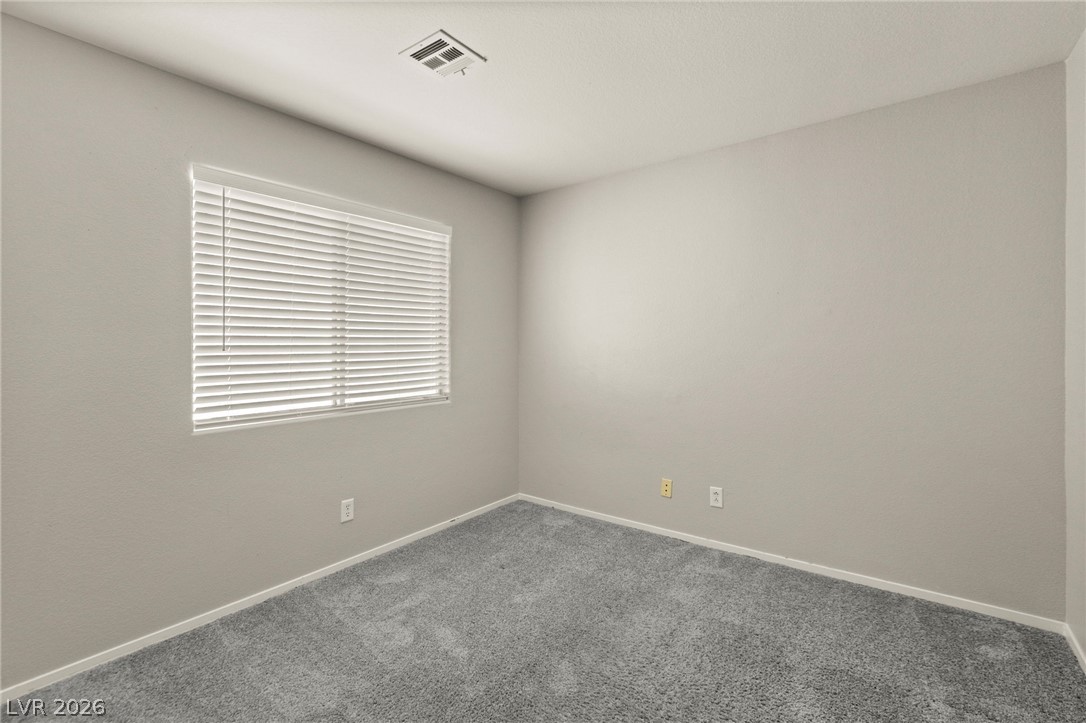 9929 Fragile Fields Street Property Photo 26