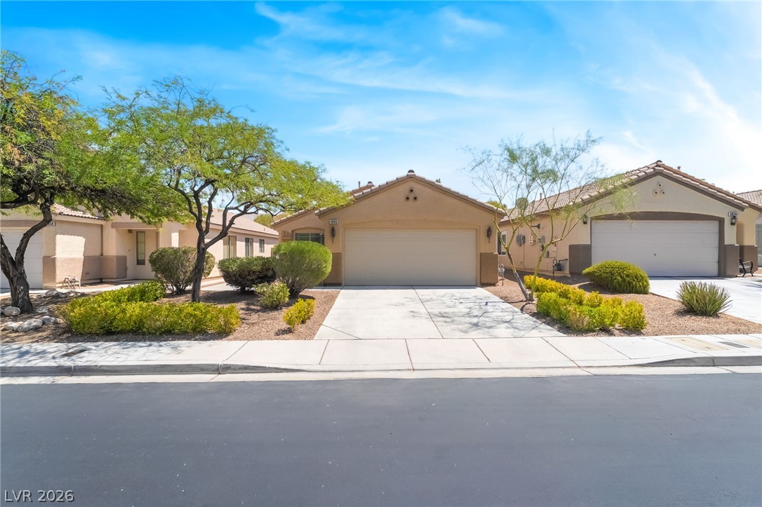 6866 Broadacres Ranch Street Property Photo 1