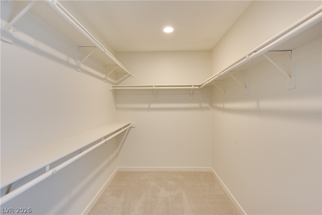 11231 Hidden Peak Avenue 206 Property Photo 22