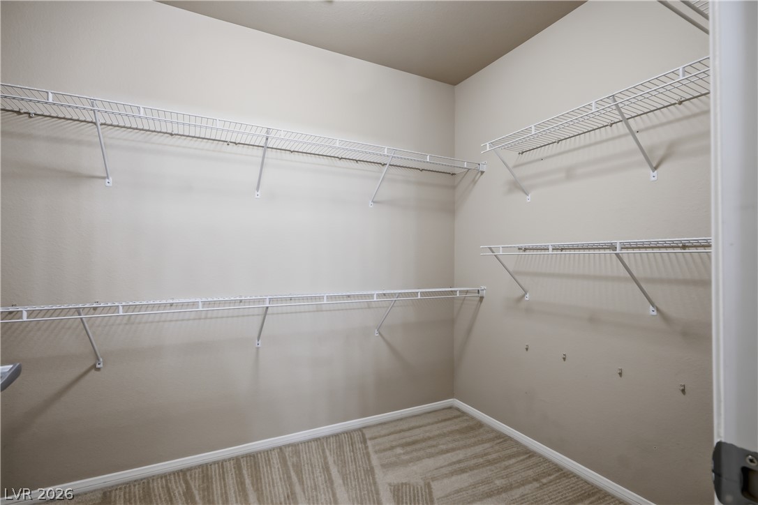 8925 Veneroso Street Property Photo 19