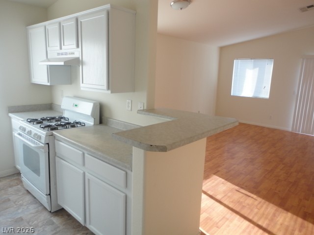 4014 Dripping Springs Avenue Property Photo 8