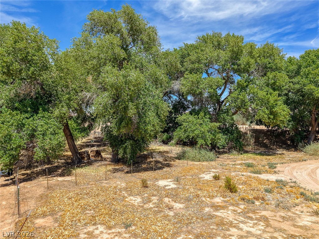 1920 Bowman Road Property Photo 63