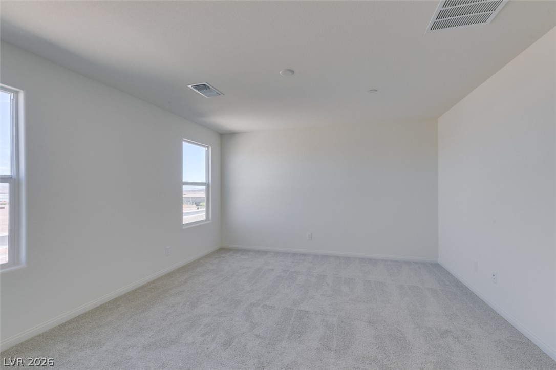650 Moonlit Lake Lane Property Photo 24