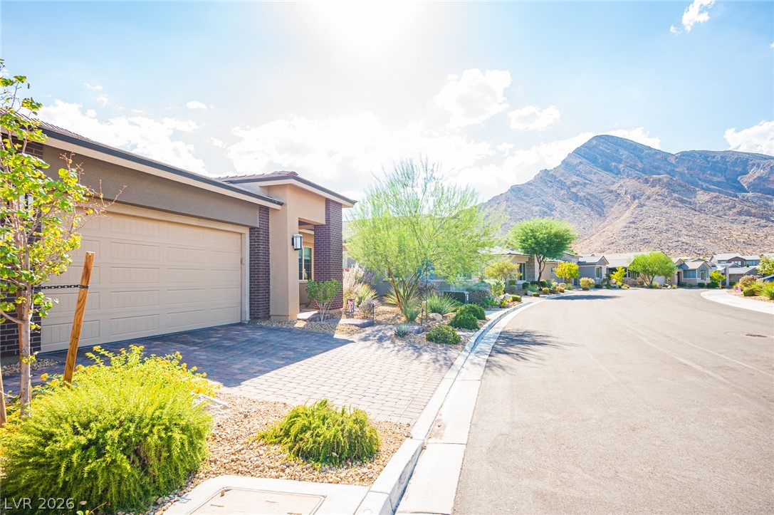 11113 Black Fire Opal Drive Property Photo 2