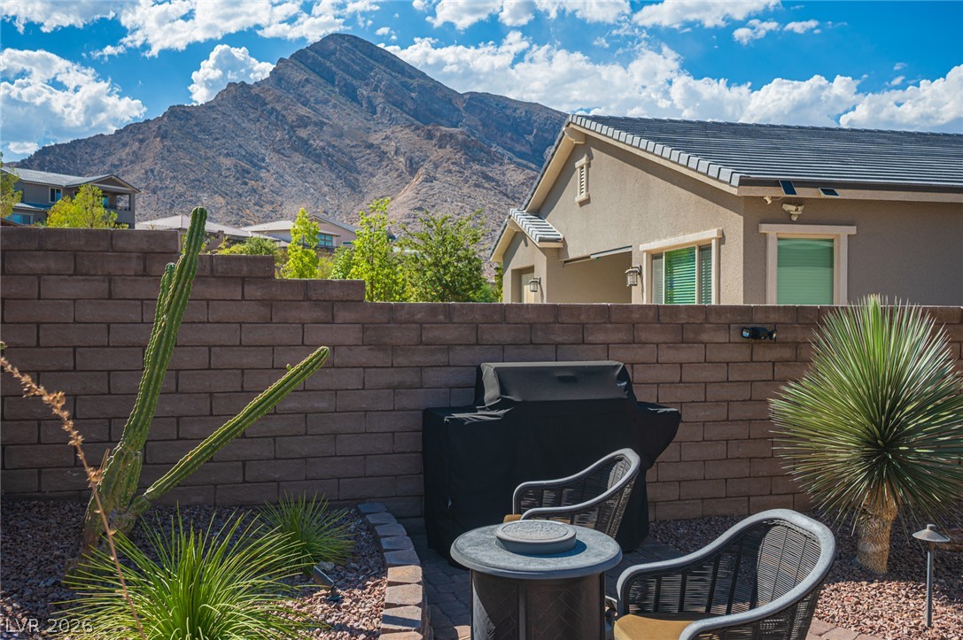 11113 Black Fire Opal Drive Property Photo 13