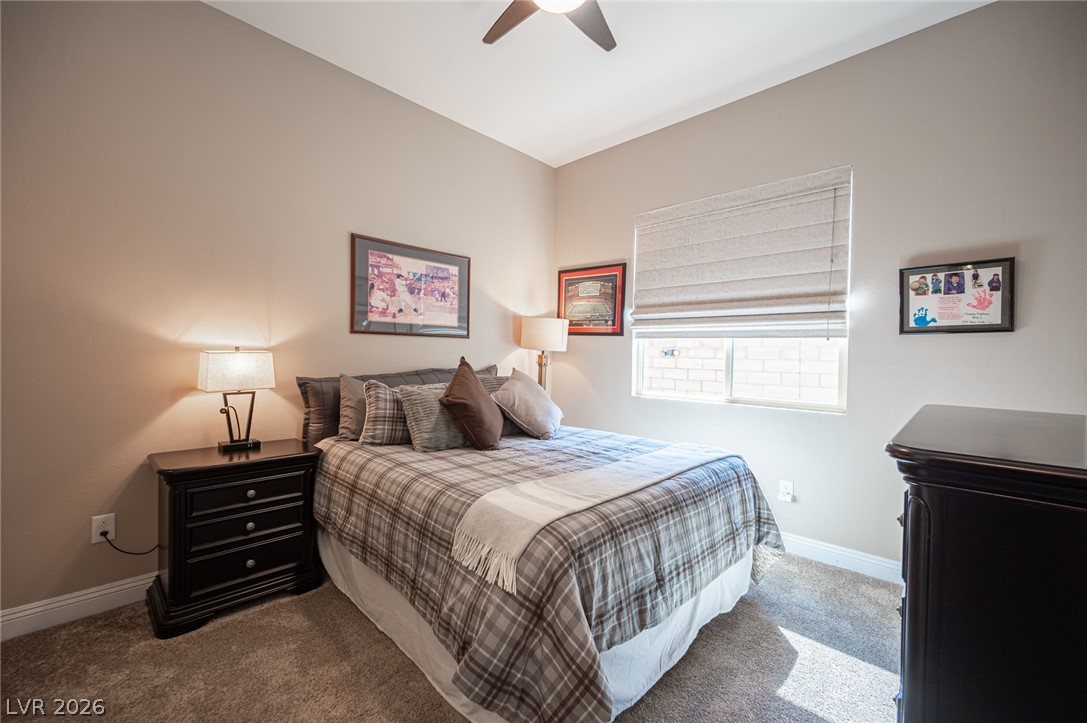 11113 Black Fire Opal Drive Property Photo 43