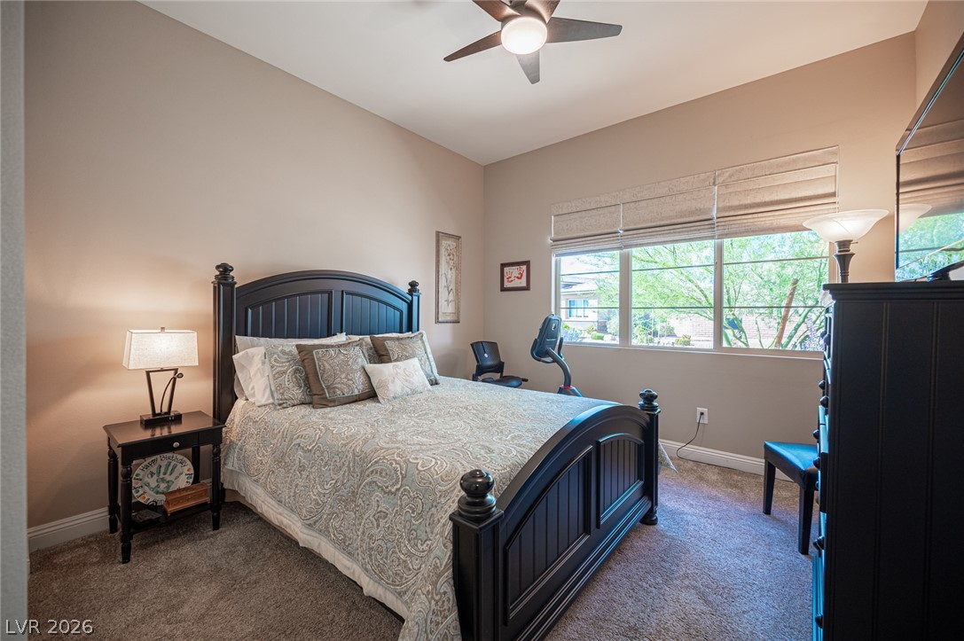 11113 Black Fire Opal Drive Property Photo 47