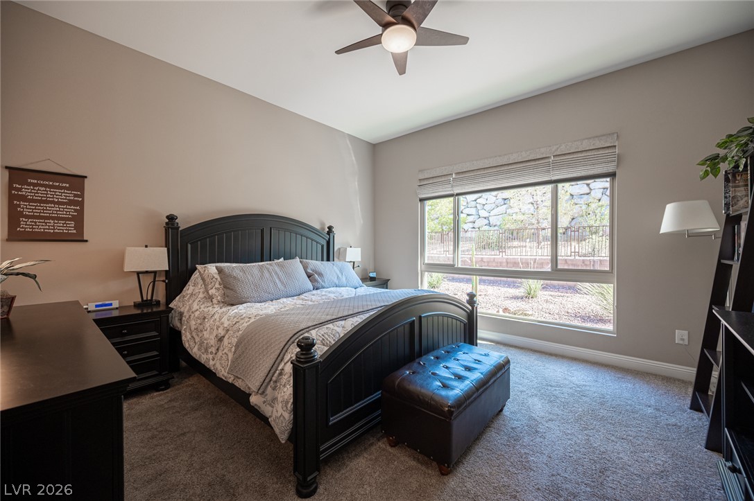 11113 Black Fire Opal Drive Property Photo 49