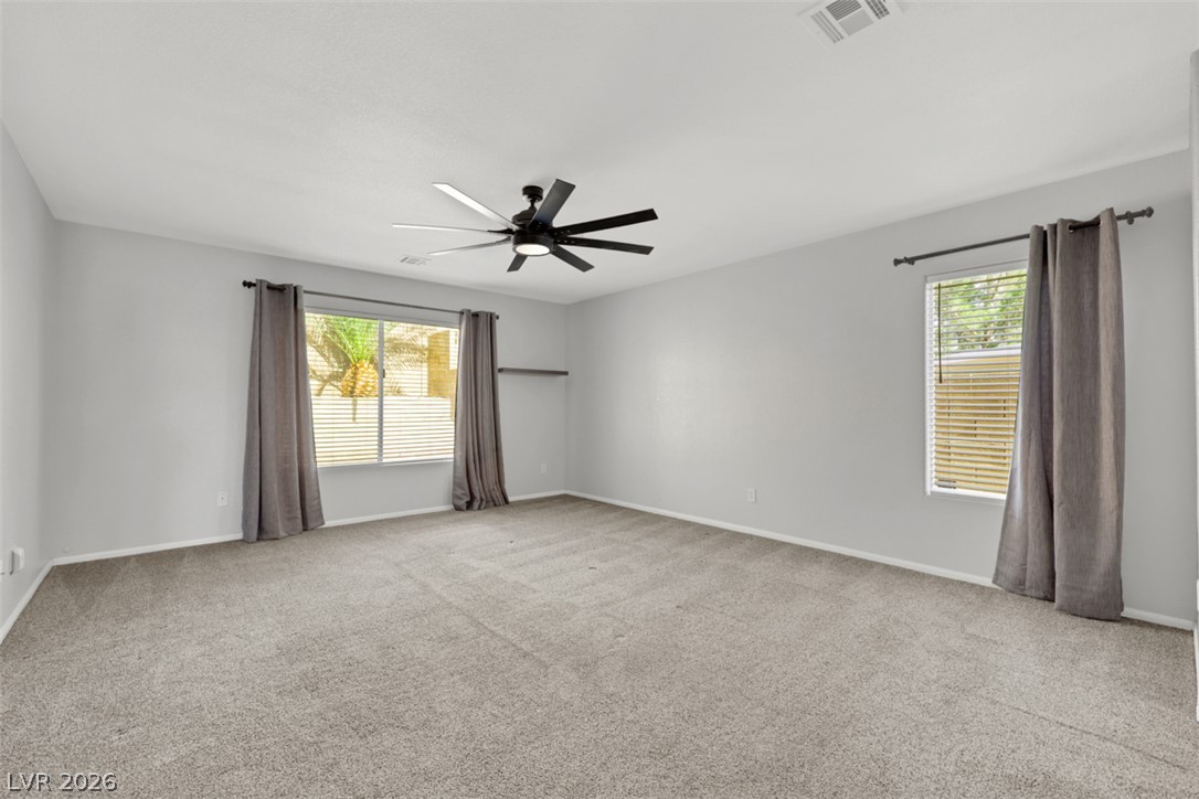 1013 Black Olive Property Photo 22