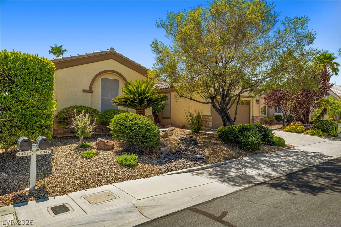 10347 Profeta Court Property Photo 3