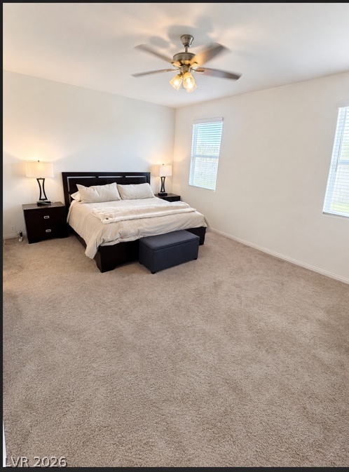 3081 Bluebell Bend Avenue Property Photo 9