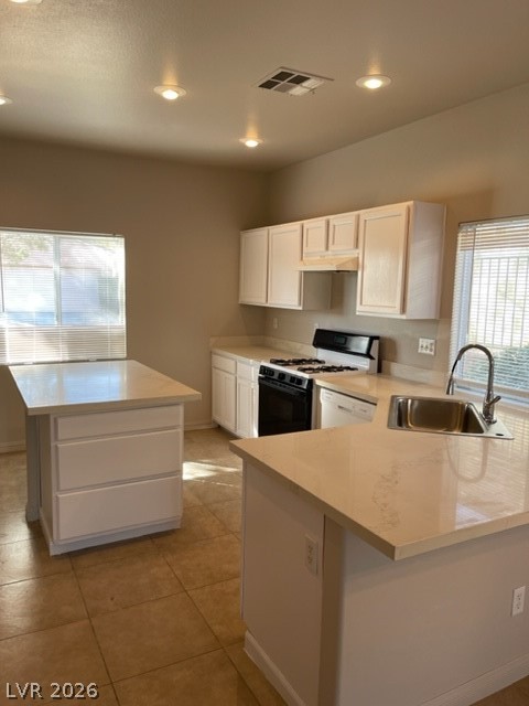 10516 Allthorn Avenue Property Photo 3