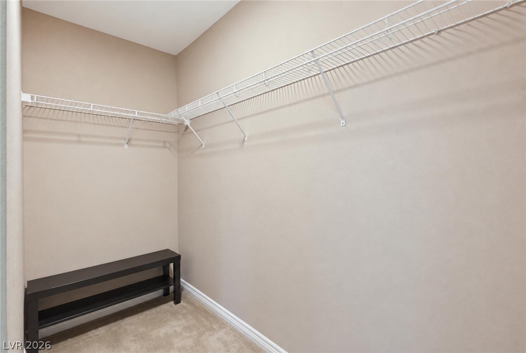 3181 Bitetto Walk Property Photo 33