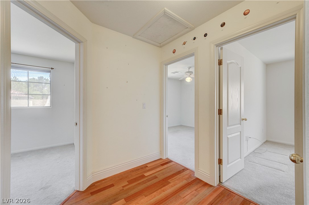 33 Staghorn Street Property Photo 33
