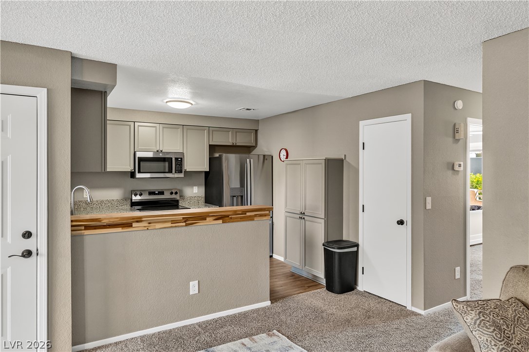 2243 Aspen Mirror Way 102 Property Photo 12