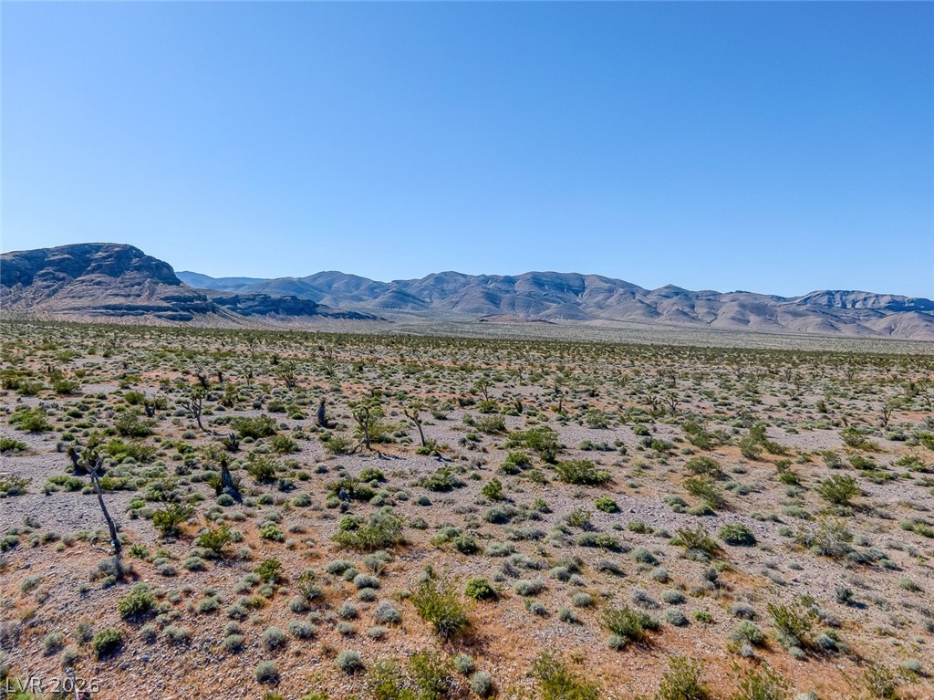 Scottie Property Photo 10