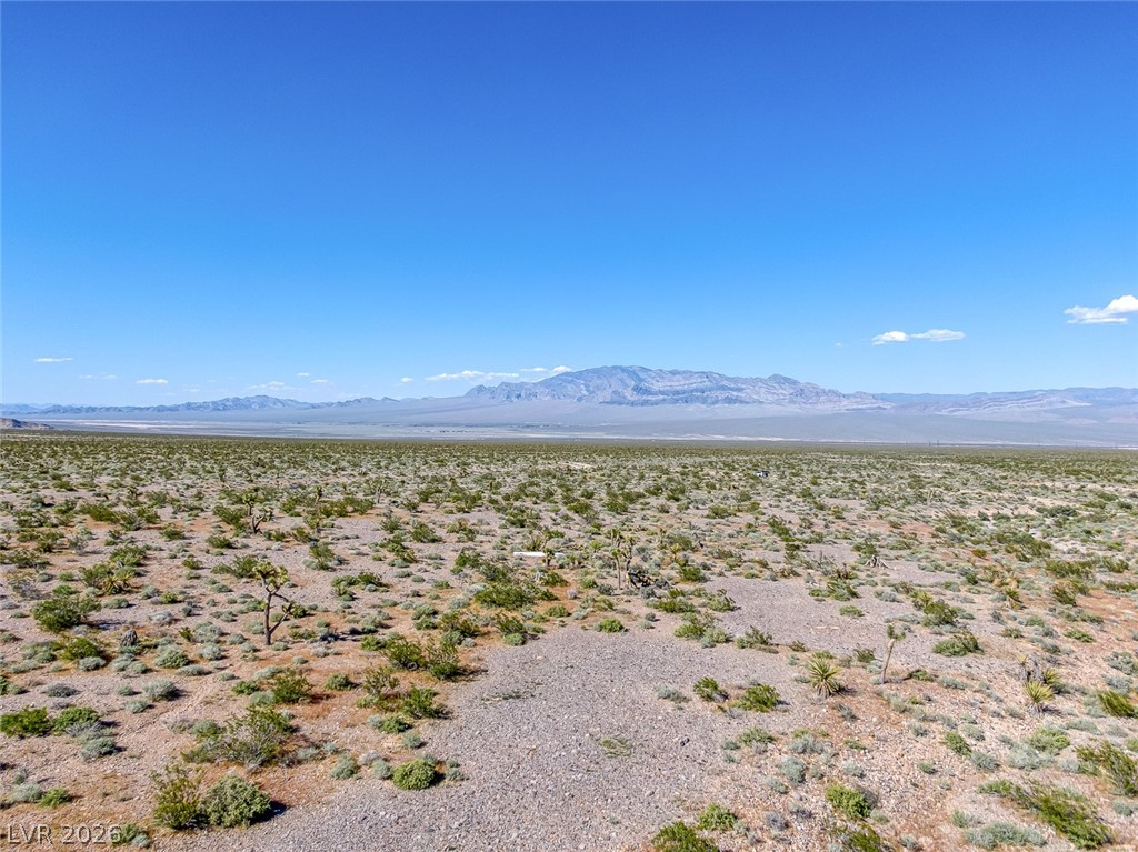 Scottie Property Photo 12