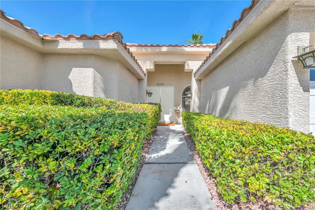 5569 Wild Olive Street Property Photo 20
