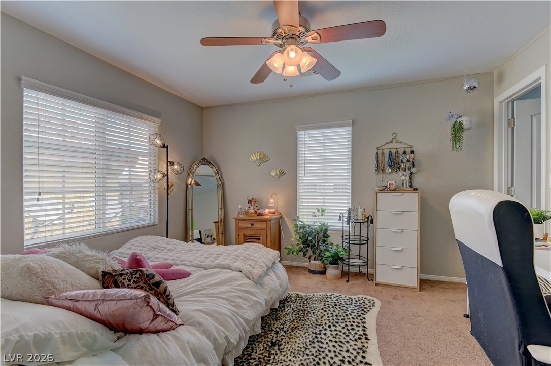7319 Brisbane Hills Street Property Photo 19