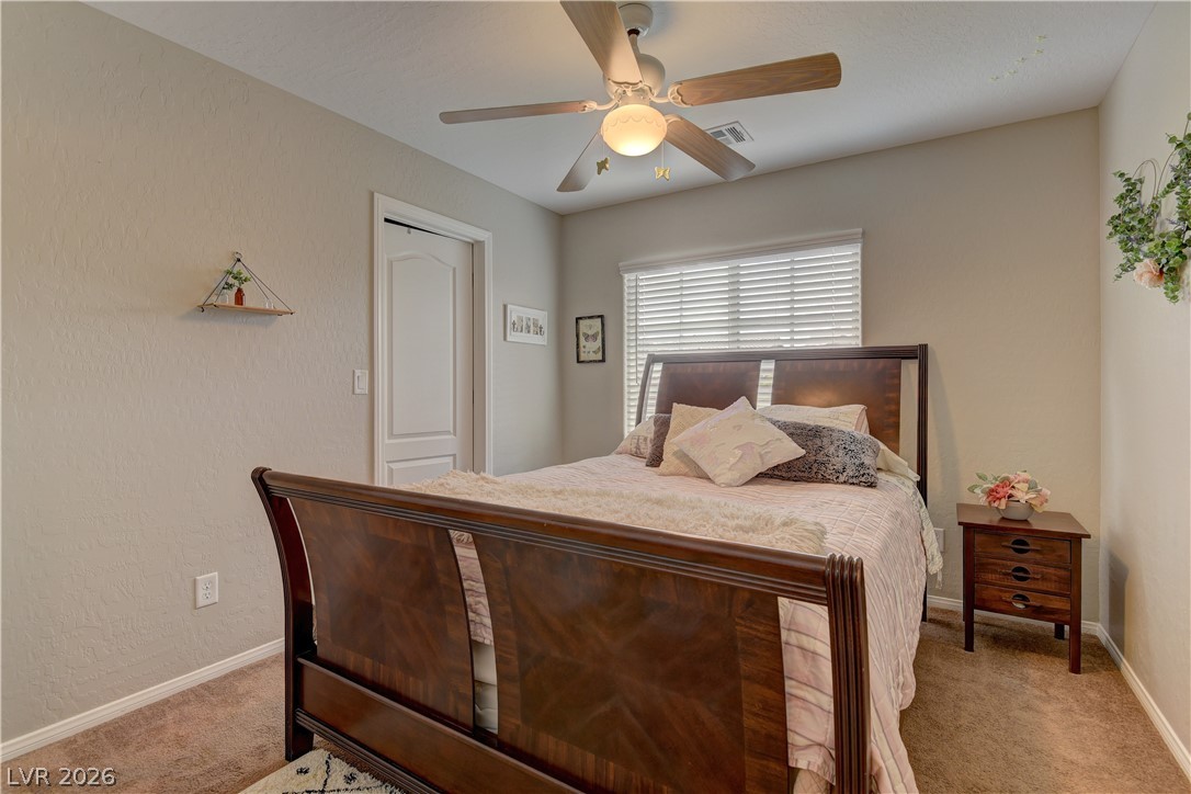 7319 Brisbane Hills Street Property Photo 21