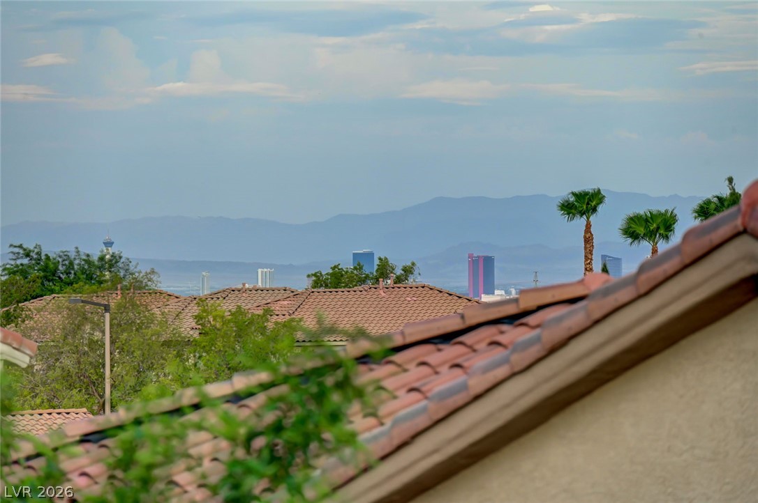 11821 Luna Del Mar Lane Property Photo 46