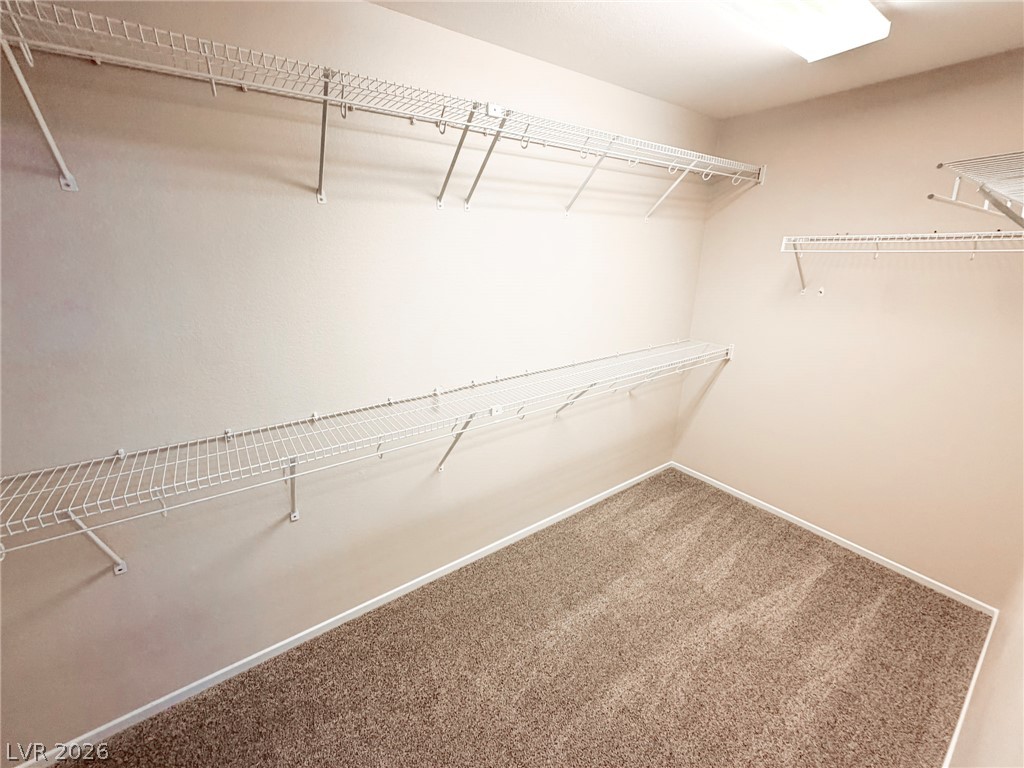 10263 Burning Bush Street Property Photo 21