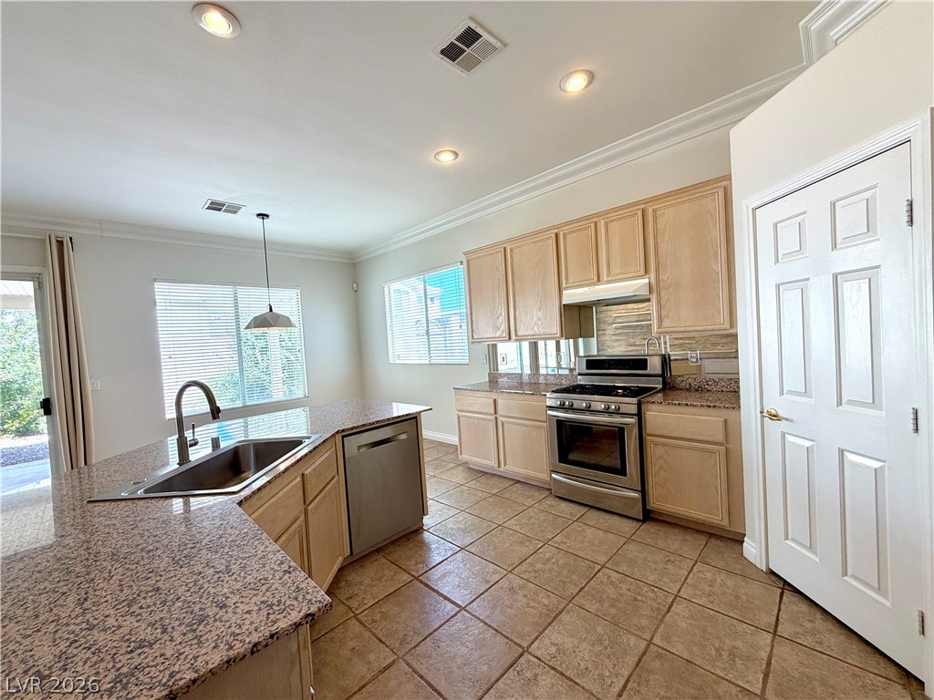322 Turtle Peak Avenue Property Photo 20