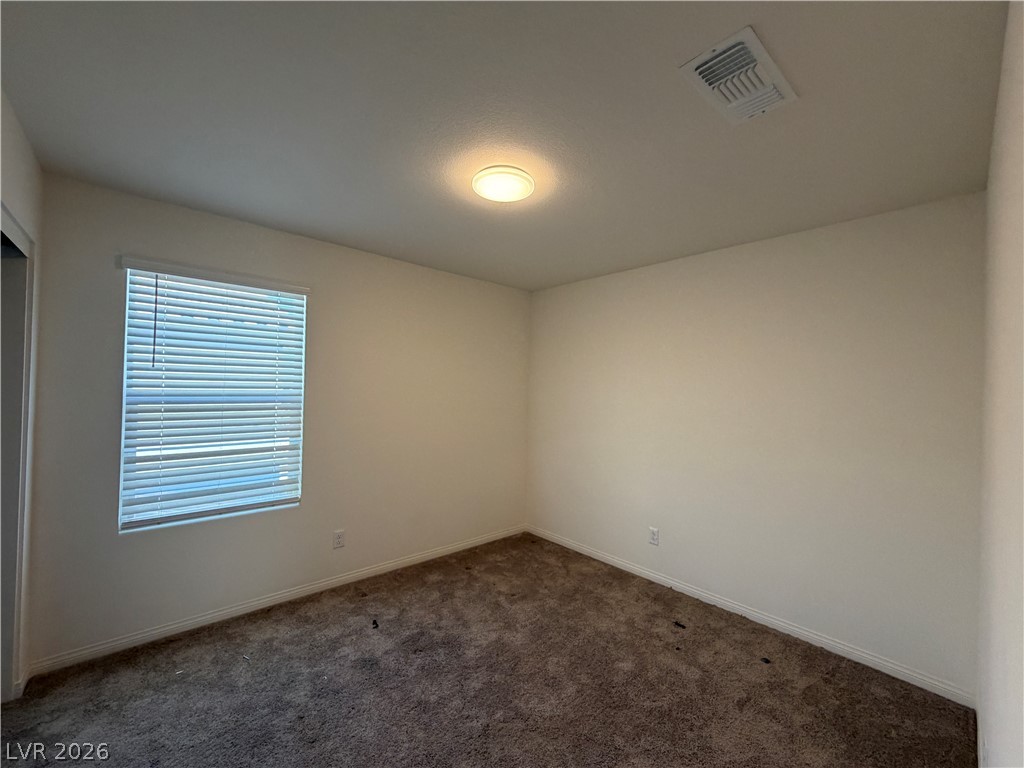 7056 Dandelion Park Avenue Property Photo 16