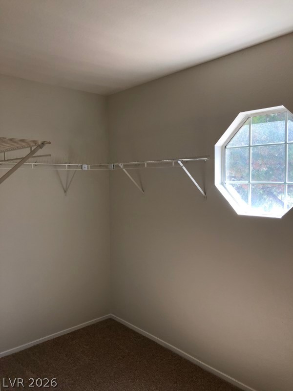 3439 Bankside Drive Property Photo 24